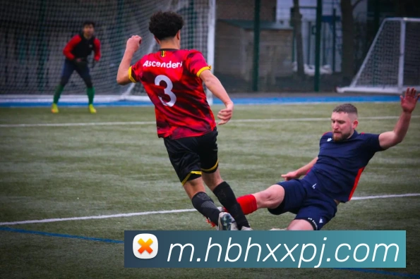 新葡京娱乐平台生态图